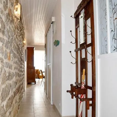 L'avocette * 布齐盖